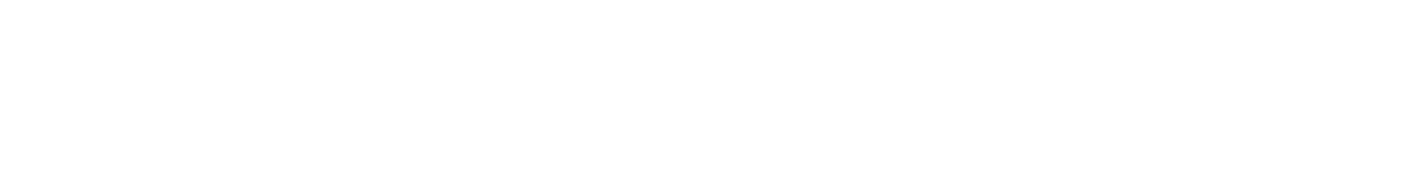 CAUCHOSOFT